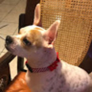 Meet your Posher, Maribel